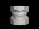 Orthodontic Study Model