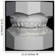 Orthodontic Study Model