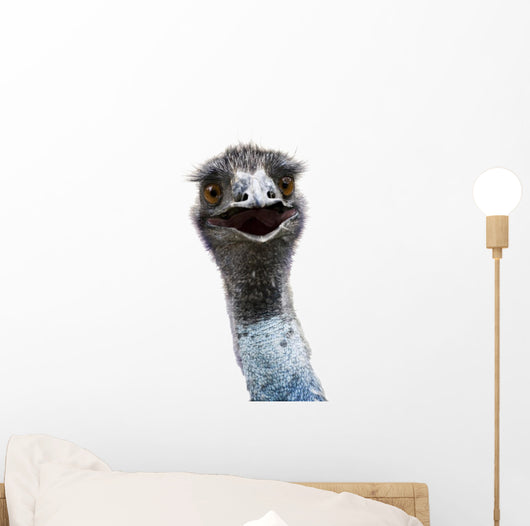 Emu Wall Mural
