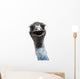 Emu Wall Mural