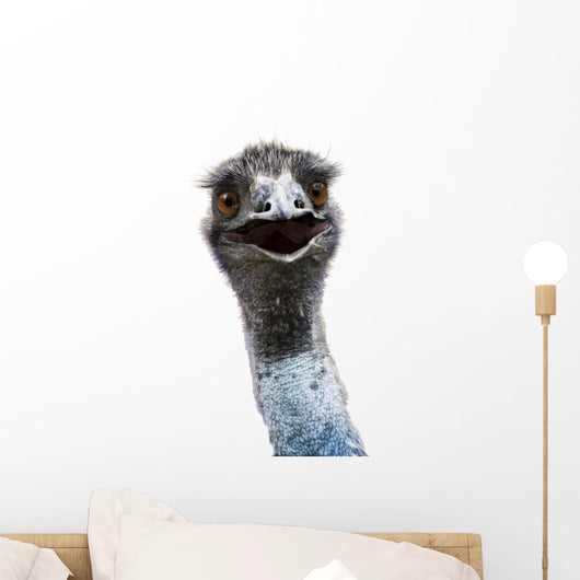 Emu Wall Mural