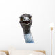 Emu Wall Mural