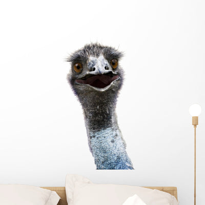 Emu Wall Mural shown on a wall