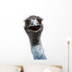 Emu Wall Mural