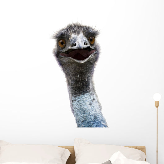 Emu Wall Mural