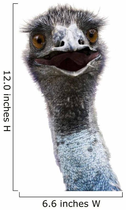 Emu Wall Mural