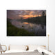 Early Morning On A Fog Covered Sturgeon River During The Summer Wall Mural