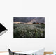 A Summer Sunrise With Storm Clouds Over A Field Of Foxtails On A Farm Wall Mural