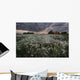 A Summer Sunrise With Storm Clouds Over A Field Of Foxtails On A Farm Wall Mural