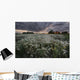 A Summer Sunrise With Storm Clouds Over A Field Of Foxtails On A Farm Wall Mural