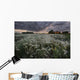 A Summer Sunrise With Storm Clouds Over A Field Of Foxtails On A Farm Wall Mural