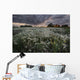 A Summer Sunrise With Storm Clouds Over A Field Of Foxtails On A Farm Wall Mural