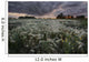 A Summer Sunrise With Storm Clouds Over A Field Of Foxtails On A Farm Wall Mural