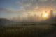 A Summer Sunrise On The Edge Of A Forest Fire Burn In Central Alberta Wall Mural