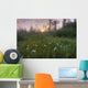 Prairie Wildflowers Wall Mural