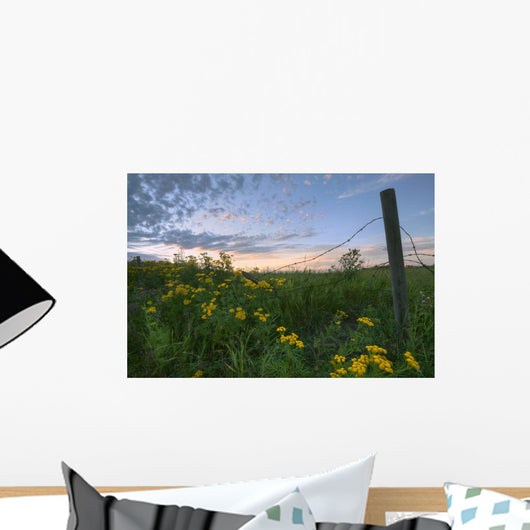 A Summer Evening Sky With Yellow Tansy Flowers And Barbed Wire Fence Wall Mural