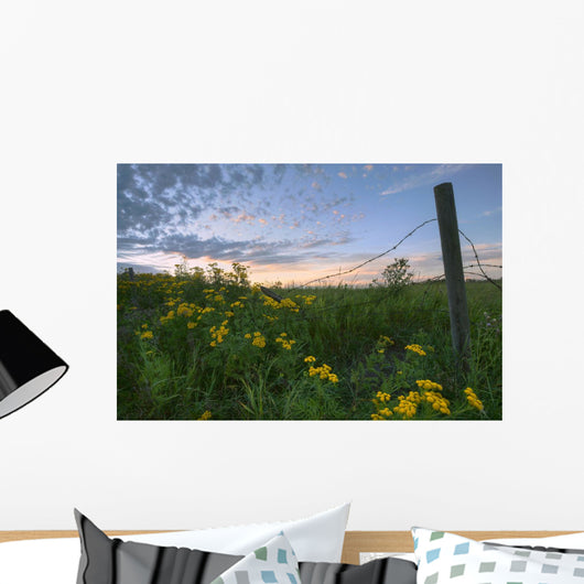A Summer Evening Sky With Yellow Tansy Flowers And Barbed Wire Fence Wall Mural