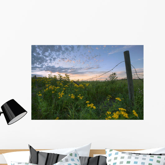 A Summer Evening Sky With Yellow Tansy Flowers And Barbed Wire Fence Wall Mural