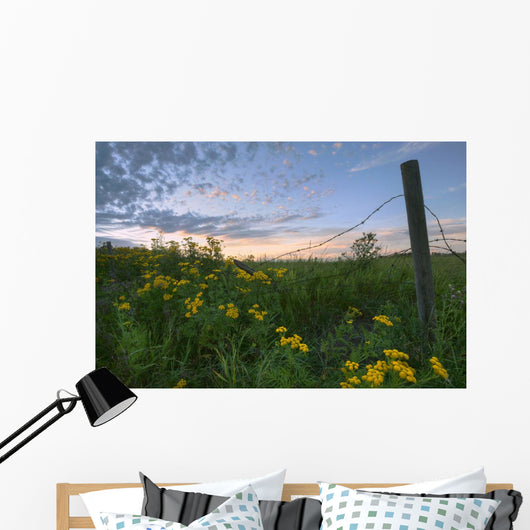 A Summer Evening Sky With Yellow Tansy Flowers And Barbed Wire Fence Wall Mural