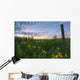 A Summer Evening Sky With Yellow Tansy Flowers And Barbed Wire Fence Wall Mural