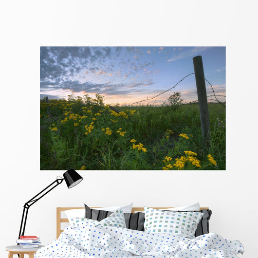 A Summer Evening Sky With Yellow Tansy Flowers And Barbed Wire Fence Wall Mural