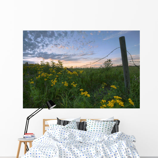 A Summer Evening Sky With Yellow Tansy Flowers And Barbed Wire Fence Wall Mural