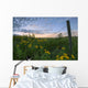 A Summer Evening Sky With Yellow Tansy Flowers And Barbed Wire Fence Wall Mural