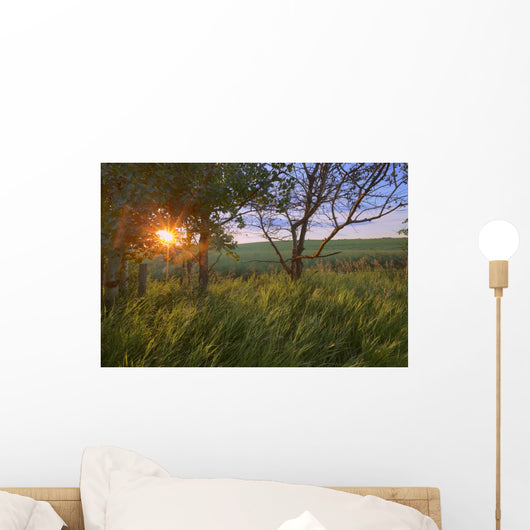 Sunrise On A Farm During The Summer In Central Alberta Wall Mural