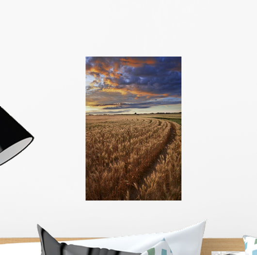 Sunrise Over A Barley Field On A Farm In Central Alberta Wall Mural