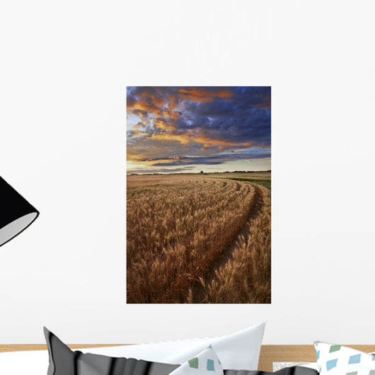 Sunrise Over A Barley Field On A Farm In Central Alberta Wall Mural