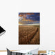 Sunrise Over A Barley Field On A Farm In Central Alberta Wall Mural