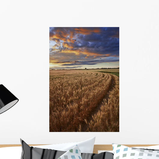 Sunrise Over A Barley Field On A Farm In Central Alberta Wall Mural