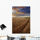 Sunrise Over A Barley Field On A Farm In Central Alberta Wall Mural