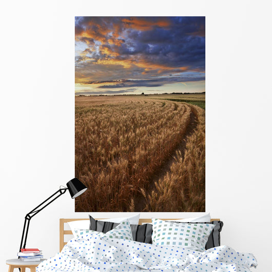 Sunrise Over A Barley Field On A Farm In Central Alberta Wall Mural