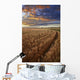 Sunrise Over A Barley Field On A Farm In Central Alberta Wall Mural