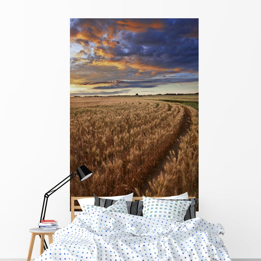 Sunrise Over A Barley Field On A Farm In Central Alberta Wall Mural