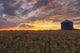 Sunrise Over A Barley Field And Grain Silo On A Farm Wall Mural