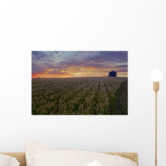 Sunrise Over A Barley Field With Grain Silo In Central Alberta Wall Mural