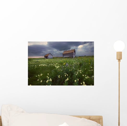 Two Old Granaries With Prairie Wildflowers Under Storm Clouds Wall Mural