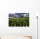 Two Old Granaries With Prairie Wildflowers Under Storm Clouds Wall Mural