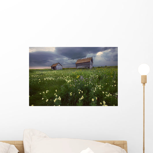 Two Old Granaries With Prairie Wildflowers Under Storm Clouds Wall Mural
