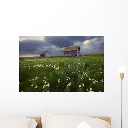 Two Old Granaries With Prairie Wildflowers Under Storm Clouds Wall Mural