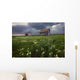 Two Old Granaries With Prairie Wildflowers Under Storm Clouds Wall Mural