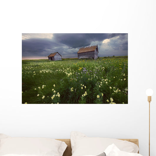 Two Old Granaries With Prairie Wildflowers Under Storm Clouds Wall Mural