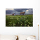 Two Old Granaries With Prairie Wildflowers Under Storm Clouds Wall Mural