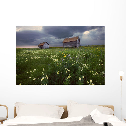 Two Old Granaries With Prairie Wildflowers Under Storm Clouds Wall Mural