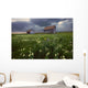 Two Old Granaries With Prairie Wildflowers Under Storm Clouds Wall Mural