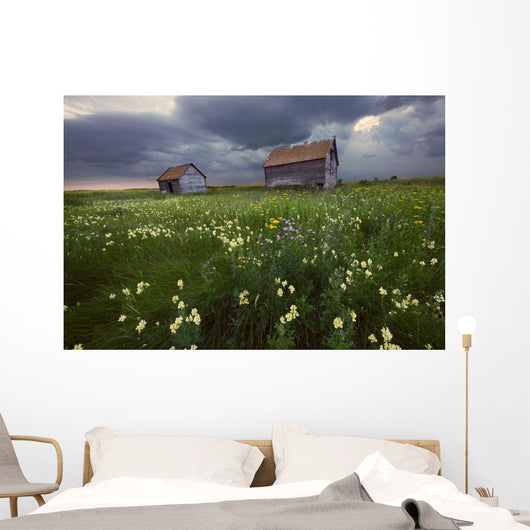 Two Old Granaries With Prairie Wildflowers Under Storm Clouds Wall Mural