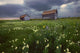 Two Old Granaries With Prairie Wildflowers Under Storm Clouds Wall Mural