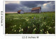 Two Old Granaries With Prairie Wildflowers Under Storm Clouds Wall Mural